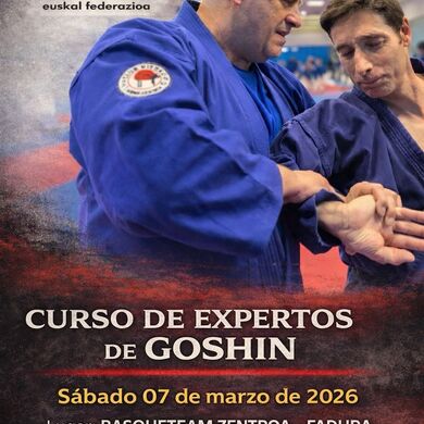 I CURSO “EXPERTO” de GOSHIN 2026